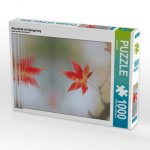 CALVENDO Puzzle herbstliches Ahornblatt mit Spiegelung 1000 Teile Lege-Größe 48 x 64 cm Foto-Puzzle Bild von SusaZoom