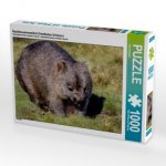 Nacktnasenwombat (Vombatus Ursinus) (Puzzle)