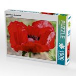 Mohnblüte im Sonnenlicht (Puzzle)