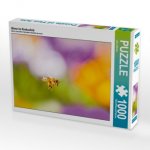 Biene im Krokusfeld (Puzzle)