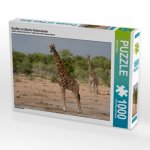 CALVENDO Puzzle Giraffen im Etosha Nationalpark 1000 Teile Lege-Größe 64 x 48 cm Foto-Puzzle Bild von Sabine Reuke
