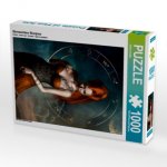 Sternzeichen Skorpion (Puzzle)