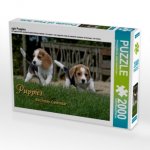 agle Puppies (Puzzle)