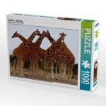 CALVENDO Puzzle Giraffen - Meeting 1000 Teile Lege-Größe 64 x 48 cm Foto-Puzzle Bild von Michael Herzog