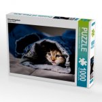 Erkundungstour (Puzzle)