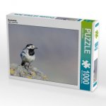 Bachstelze (Puzzle)