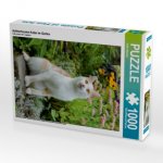 Aufmerksame Katze im Garten (Puzzle)
