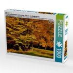 Wundervoller Herbst! Ein Motiv aus dem Kalender Jahresringe - Bäume als Wegbegleiter (Puzzle)