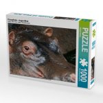 CALVENDO Puzzle Flusspferde - Augen-Blick 1000 Teile Lege-Größe 64 x 48 cm Foto-Puzzle Bild von Michael Herzog