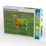 in den Farben Donegals angemaltes Schaf (Puzzle)