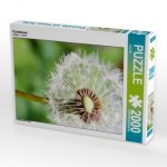 Pusteblume (Puzzle)