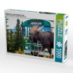 Elchbulle im Denali National Park (Puzzle)