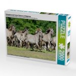Galoppierende Herde Dülmener Wildpferde (Puzzle)