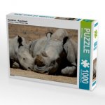 CALVENDO Puzzle Nashörner - Kuschelzeit 1000 Teile Lege-Größe 64 x 48 cm Foto-Puzzle Bild von Michael Herzog