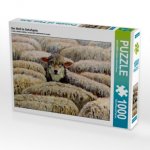 Der Wolf im Schafspelz (Puzzle)