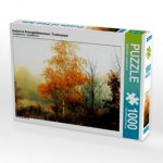 CALVENDO Puzzle Herbst im Pennigbüttelermoor / Teufelsmoor 1000 Teile Lege-Größe 64 x 48 cm Foto-Puzzle Bild von Ulrike Adam