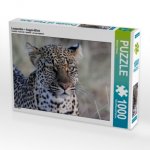 CALVENDO Puzzle Leoparden - Augen-Blick 1000 Teile Lege-Größe 64 x 48 cm Foto-Puzzle Bild von Michael Herzog
