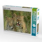 CALVENDO Puzzle Leoparden - Vorsicht! 1000 Teile Lege-Größe 64 x 48 cm Foto-Puzzle Bild von Michael Herzog