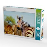 Zebra (Puzzle)