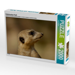 Erdmännchen Profil (Puzzle)