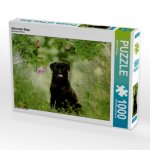 Schwarzer Mops (Puzzle)