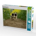 Rasende Rennmöpse (Puzzle)