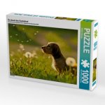 Da staunt das Dackelkind (Puzzle)
