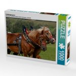 Kaltblutgespann (Puzzle)
