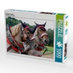Vlaams Paards (Puzzle)