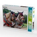 Vlaams Paards (Puzzle)