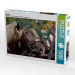 Noriker (Puzzle)
