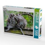Makaken (Puzzle)