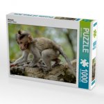 Makake (Puzzle)