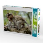 Makake (Puzzle)
