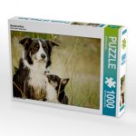 Bordercollies (Puzzle)