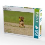Ein Blümchen für Euch (Puzzle)