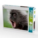 Affe (Puzzle)