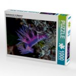 Nacktschnecke im Mittelmeer (Puzzle)