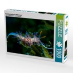 Nacktschnecke im Mittelmeer (Puzzle)