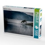Weimaraner am Fluss (Puzzle)