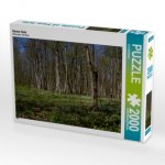 Iltener Holz (Puzzle)