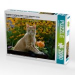 Neugierige rot getigerter Katze in einem blühenden Garten (Puzzle)