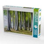 Wald von Fanefjord (Puzzle)