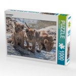 Löwenbabies (Puzzle)