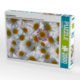 Gänseblümchen (Puzzle)