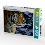Ein Motiv aus dem Kalender Tiger - die leisen Jäger des Dschungels (Puzzle)