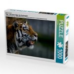Ein Motiv aus dem Kalender Tiger - die leisen Jäger des Dschungels (Puzzle)