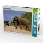 Begegnung in Südafrika (Puzzle)