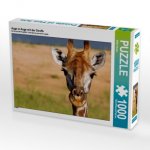 Auge in Auge mit der Giraffe (Puzzle)