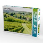 Weinberg bei San Gimignano (Puzzle)